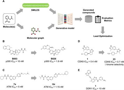 Deep generative models in the quest for anticancer drugs: ways forward